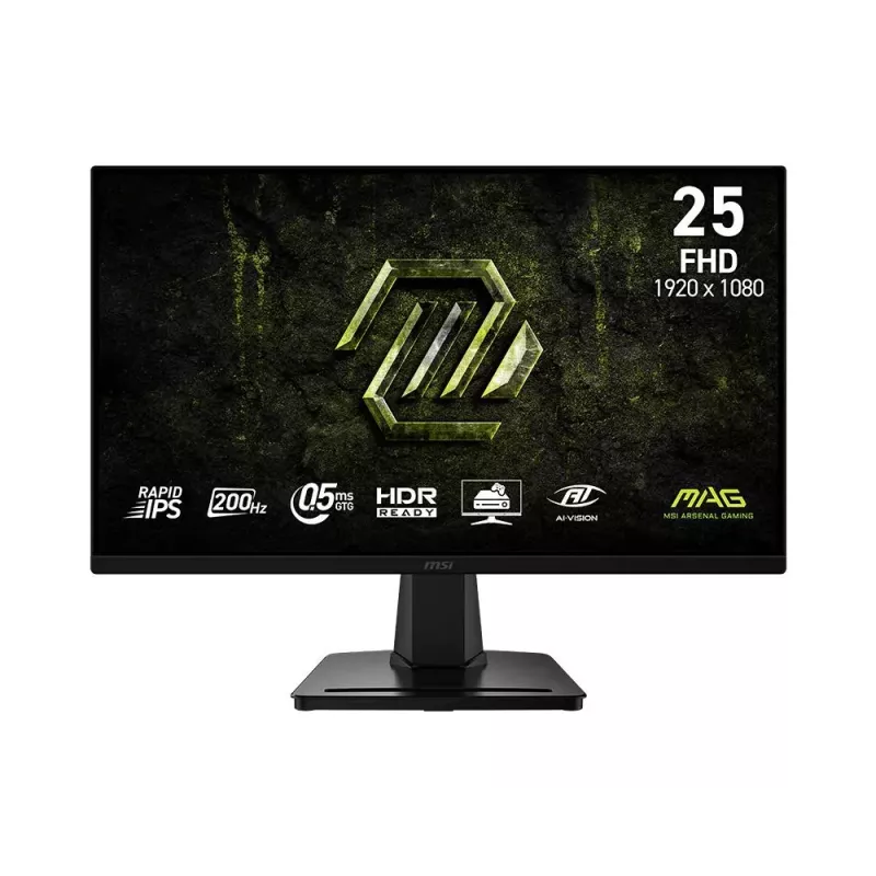 MSI MAG 256F E2 Monitor da gaming 24,5