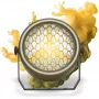 EVOLIGHTS LUMEN PAR Reflector Illuminazione vintage