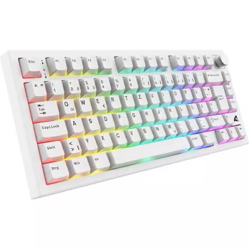Sharkoon SGK55W SKILLER Tastiera da gaming wireless, layout 75%, tasti PBT, bianco