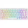 Sharkoon SGK55W SKILLER Tastiera da gaming wireless, layout 75%, tasti PBT, bianco