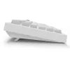 Sharkoon SGK55W SKILLER Tastiera da gaming wireless, layout 75%, tasti PBT, bianco