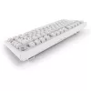 Sharkoon SGK55W SKILLER Tastiera da gaming wireless, layout 75%, tasti PBT, bianco