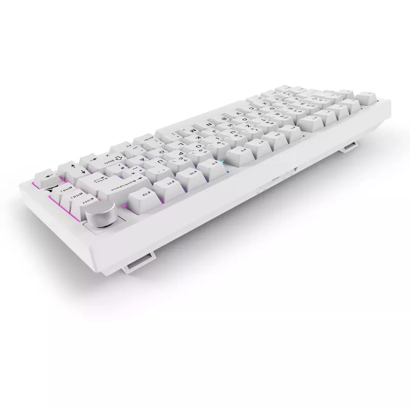 Sharkoon SGK55W SKILLER Tastiera da gaming wireless, layout 75%, tasti PBT, bianco