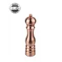 Peugeot PARIS Chef macina sale uSelect Z 22 cm rame