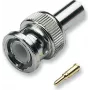 EFB connettore maschio BNC per cavo video, crimp, 0,6/2,8, 75 Ohm