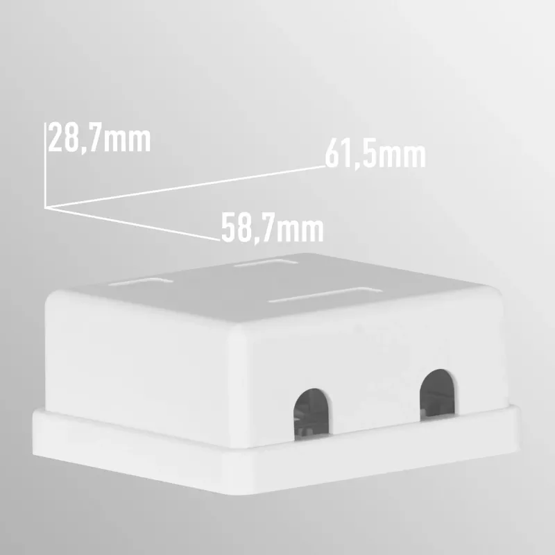 EFB Electronics scatola di connessione Keystone, 2 porte, da parete, bianco puro, contenitore vuoto