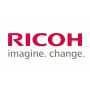 Ricoh D6063112 Pad di attrito (100 pezzi)
