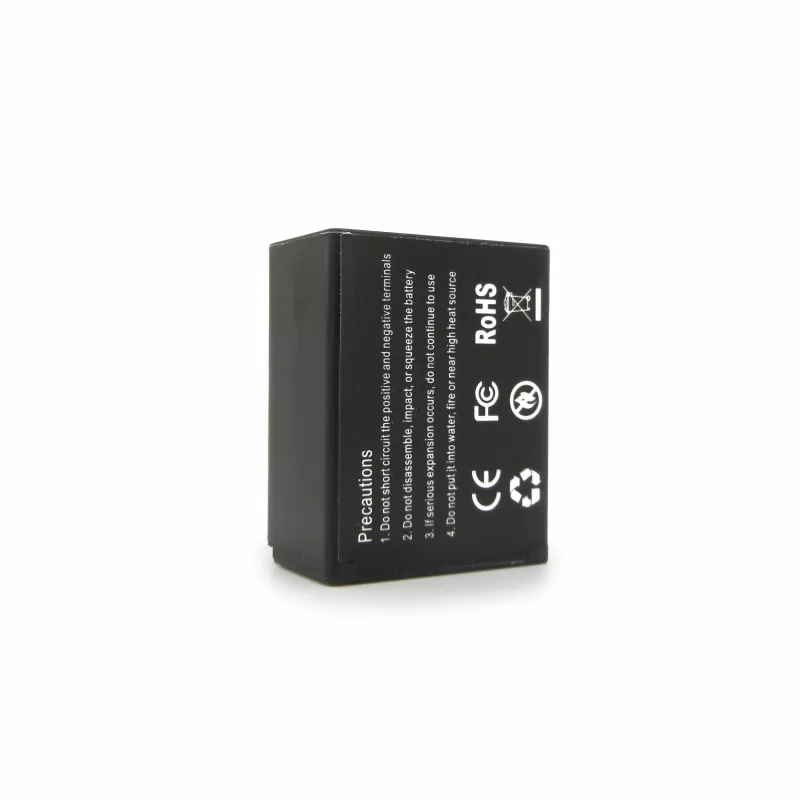 Easypix GoXtreme batteria ricaricabile per VX6430 agli ioni di litio