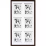 Deknudt S65KQ6 6x10x15 Wood Gallery Brown Cornice multipla 10x15 cm verticale