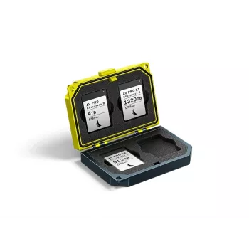 Angelbird MEDIA TANK CFexpress Type B custodia per schede (MEDIA-TANK-CB2)