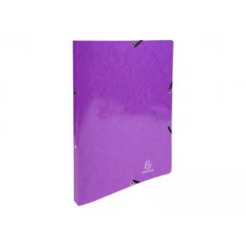 Exacompta Iderama raccoglitore ad anelli A4, dorso 20 mm, viola (54896E)