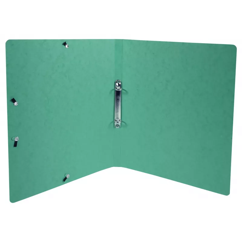 Exacompta Iderama raccoglitore ad anelli A4, 2 anelli 15 mm, con elastico, verde scuro (8701596)