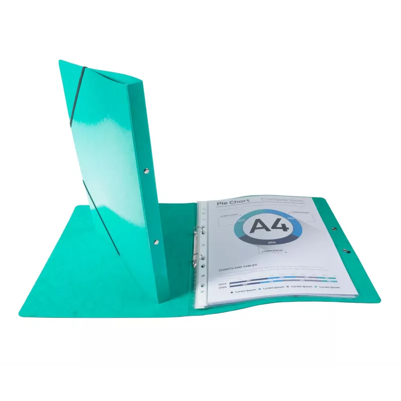 Exacompta Iderama raccoglitore ad anelli A4, 2 anelli 15 mm, con elastico, verde scuro (8701596)