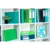 Exacompta Iderama raccoglitore ad anelli A4, 2 anelli 15 mm, con elastico, verde scuro (8701596)