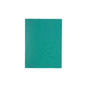 Exacompta 56415E cartella report A4 verde 200 fogli dorso 3 mm cartoncino riciclato