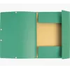 Exacompta cartella raccoglitore 55403E DIN A4 3 alette cartoncino verde
