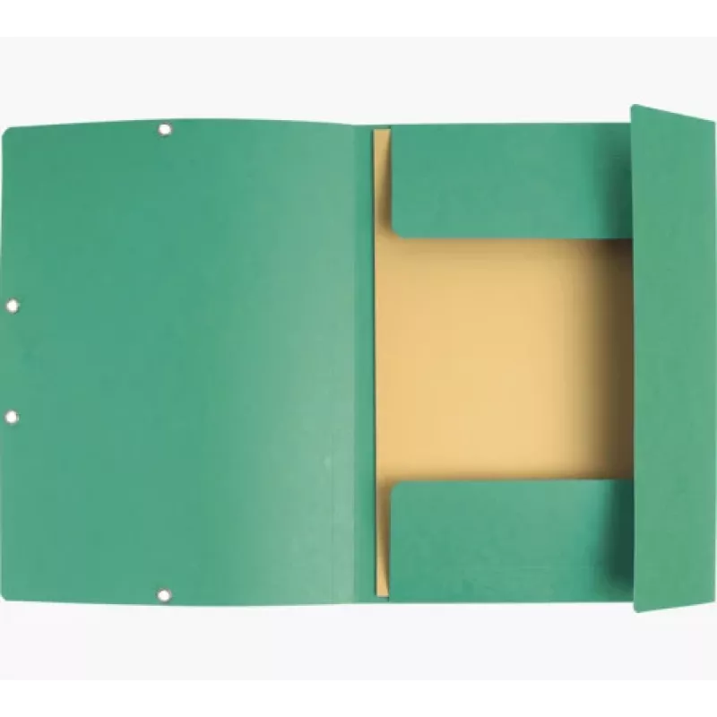 Exacompta cartella raccoglitore 55403E DIN A4 3 alette cartoncino verde
