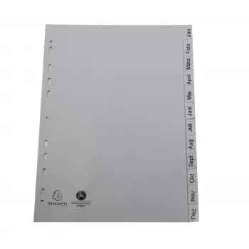 Exacompta divisori indice formato intero gennaio-dicembre grigio 12 parti 1 set