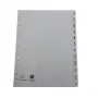 Exacompta divisori indice formato intero gennaio-dicembre grigio 12 parti 1 set
