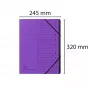 Exacompta cartella organizzatore 12 scomparti viola Colorspan