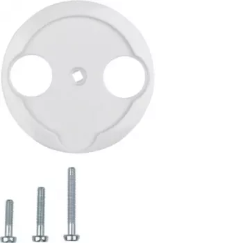 Hager placca centrale WTF4592PW per presa antenna 2 fori 1930/vetro bianco polare