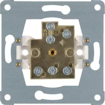 Hager WDF5600 inserto presa doppia per equipotenziale, montaggio da incasso