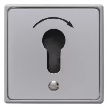 Hager WDE4450 Interruttore a chiave da incasso per mezzo cilindro profilato pressofuso IP44 1 contatto NO