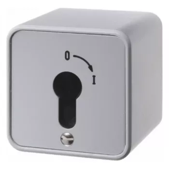 Hager WDE4466 Interruttore a chiave, montaggio a parete, per mezzo cilindro profilato, pressofuso in zinco, IP54
