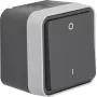 Hager WNC008 Interruttore bipolare da superficie con stampa 0/1, IP55, grigio