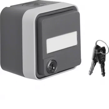 Hager WNC167 Presa SCHUKO a parete con coperchio a ribalta, campo per etichetta, chiusura non uguale, bianco polare