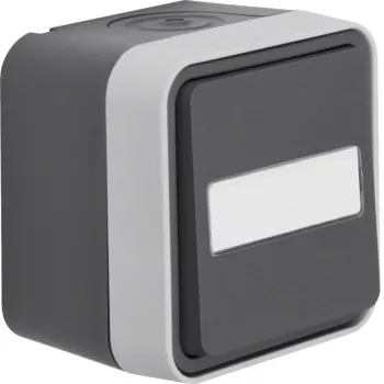 Hager WNC006 deviatore da parete IP55 grigio con campo per etichetta W.1