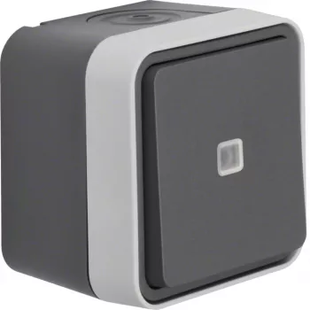 Hager WNC021 pulsante luminoso, deviatore, da parete, grigio, IP44