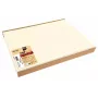 PROnappe Tovaglietta monouso Spunbond 400 x 300 mm, avorio, PP