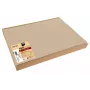 PROnappe 100 tovagliette beige 30 x 40 cm