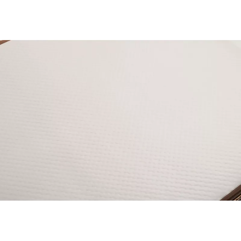 PROnappe 500 tovagliette Tiss Lack bianco 30,0 x 40,0 cm