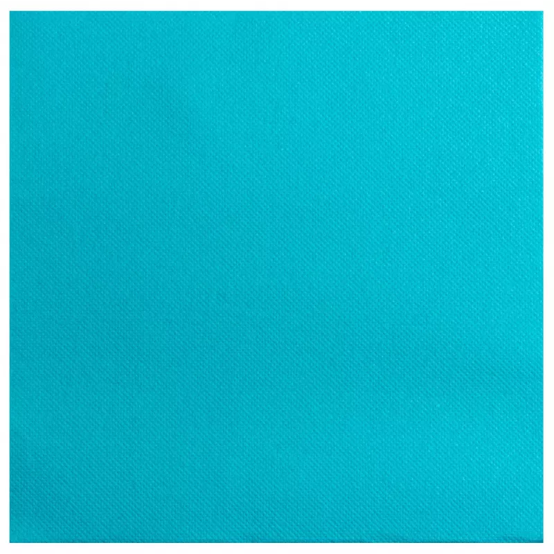 PROnappe tovaglioli turchesi 2 veli 19,0 x 19,0 cm 40 pezzi