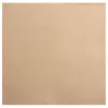 PROnappe tovaglioli beige-marrone 2 veli 19,0 x 19,0 cm 40 pezzi