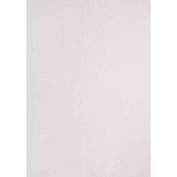 LMG Signaltechnologie 100 copertine posteriori per rilegatura per raccoglitori ad anelli bianco