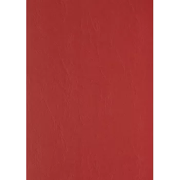 LMG Signaltechnologie 100 copertine posteriori LMG per raccoglitori ad anelli, rosso