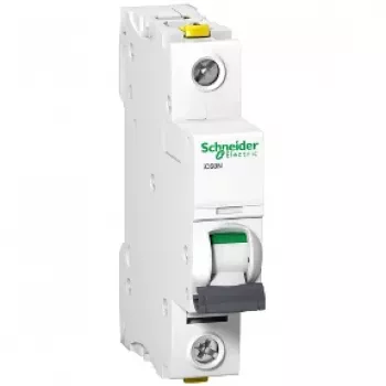 APC A9F03113 interruttore automatico magnetotermico - 10 kA - IP20