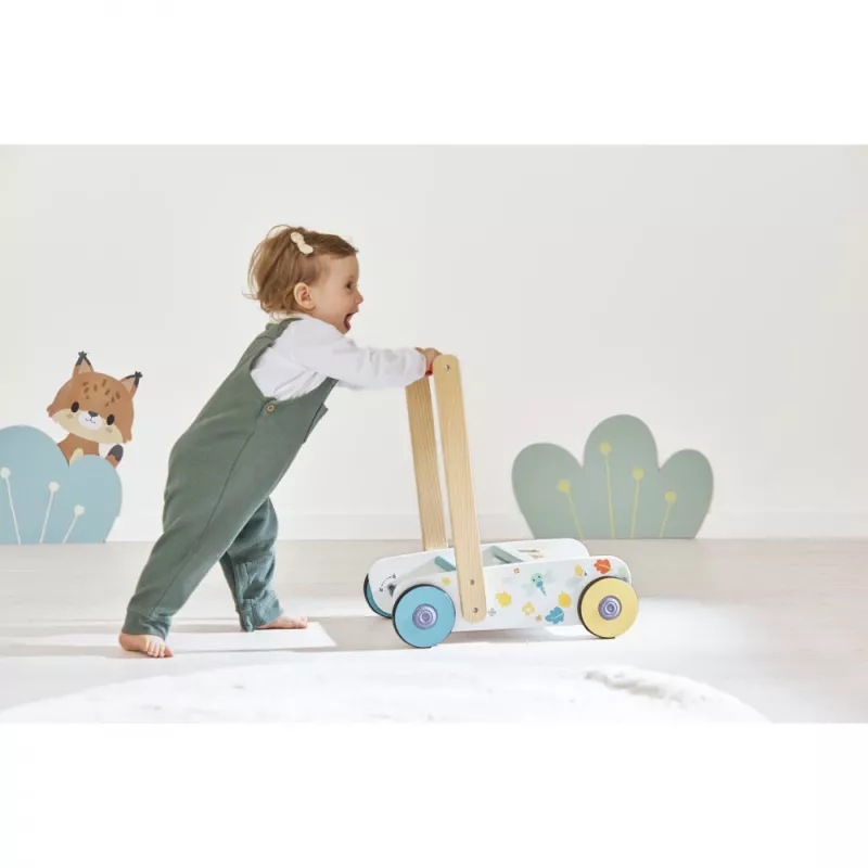Janod Pure Camminatore da spingere con mattoncini e incastra-forme, 12m+