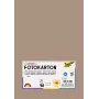 Folia 614/50 73 Cappuccino Solid Cartoncino A4 300 g/m² 50 fogli