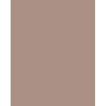 Folia 614/50 73 Cappuccino Solid Cartoncino A4 300 g/m² 50 fogli