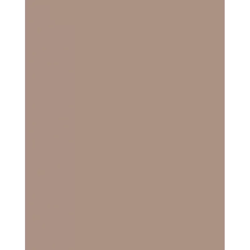 Folia 614/50 73 Cappuccino Solid Cartoncino A4 300 g/m² 50 fogli