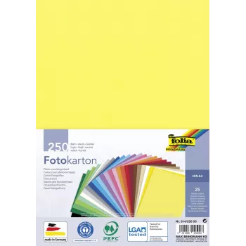 Folia cartoncino fotografico colori assortiti 300 g/m² 250 fogli A4 cartoncino fotografico