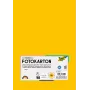 Folia 614/50 15 cartoncino A4 giallo oro 300 g/m² 50 fogli