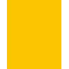 Folia 614/50 15 cartoncino A4 giallo oro 300 g/m² 50 fogli