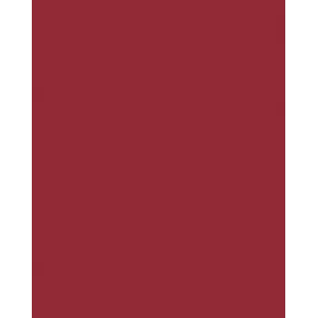 Folia 614/50 22 - rosso - tinta unita - A4 (210 x 297 mm) - 300 g/m² - 50 fogli - Germania