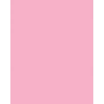 Folia 614/50 26 - rosa - tinta unita - A4 (210 x 297 mm) - 300 g/m² - 50 fogli - Germania