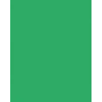 Folia 614/50 54 - verde - tinta unita - A4 (210 x 297 mm) - 300 g/m² - 50 fogli - Germania